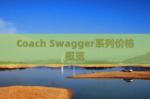 Coach Swagger系列价格概览 Coach Swagger系列价格概览